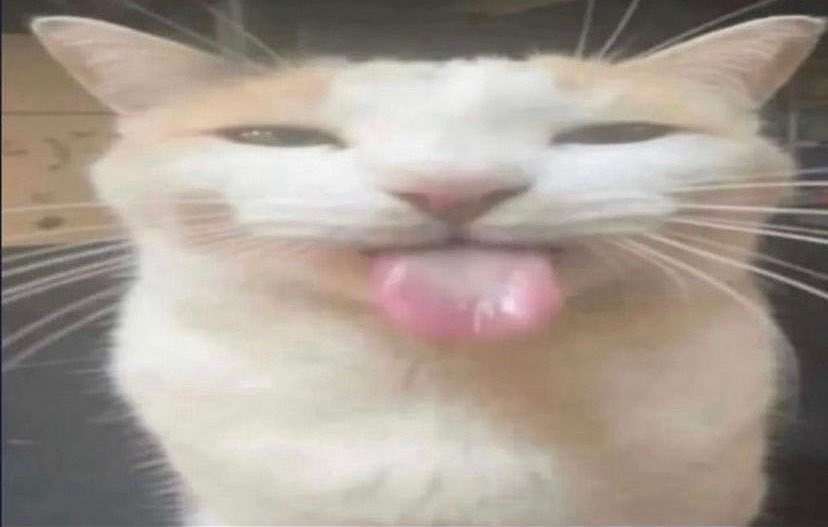 blehh